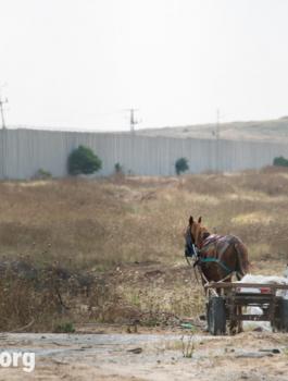 001-20140511-090831-palestine-0033