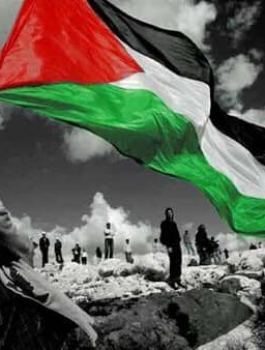 المباردة الوطنية 