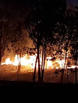 21 حريقاً داخل المستوطنات بفعل الطائرات الورقية الحارقة وفشل إطفاء ثلاثة منها