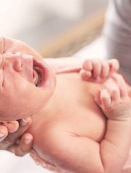 المواليد الجدد ومحمد علي 