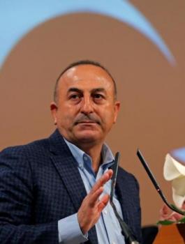 تركيا وفلسطين 