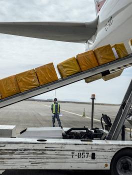 الصين وفيروس كورونا وفلسطين 