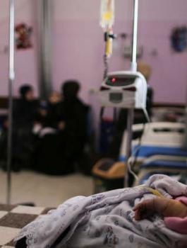 إنفلونزا الخنازير في غزة