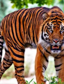 562201903230220122012