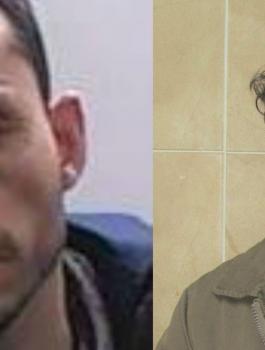 cat57276_img_cover246717945