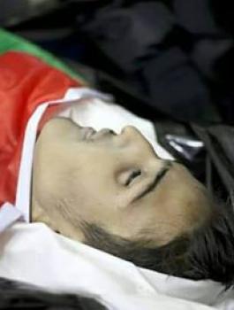الشهيد محمد زيدان 