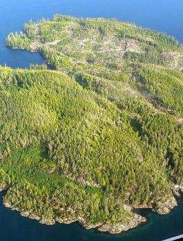 جزيرة بريطانية للبيع 