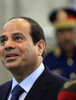 السيسي: سنبذل أقصى جهد لملاحقة العناصر الإرهابية