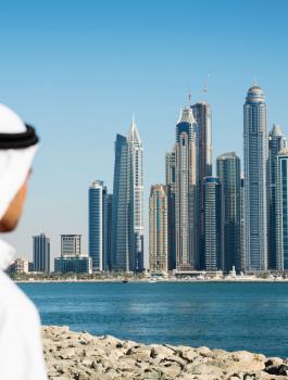 الضريبة في الامارات 