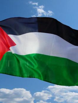 10296434_1547882302168524_6910301576841515249_o