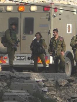 12278933_1245736952135389_1065491529940139348_n