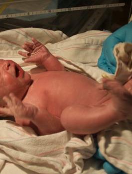 ولاد سيدة في مستشفى في الخليل 