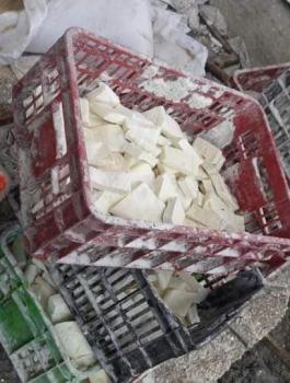 ايقاف مصنع اجبان في جنين 