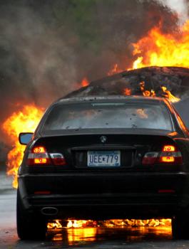 كوريا الجنوبية وسيارات bmw 