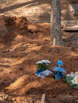 كورونا في العالم 