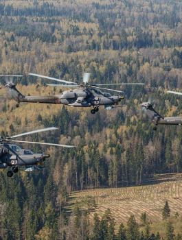 الجيش الجزائري والارهابيين 