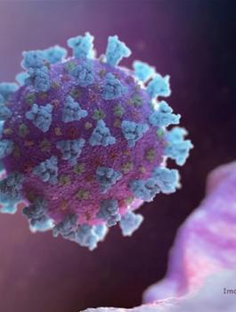 فيروس كورونا 