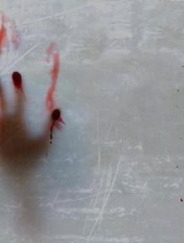 عشائر الخليل 