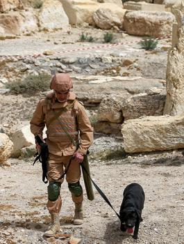 روسيا في تدمر 