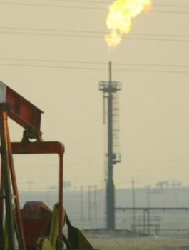 اسعار النفط والسعودية 