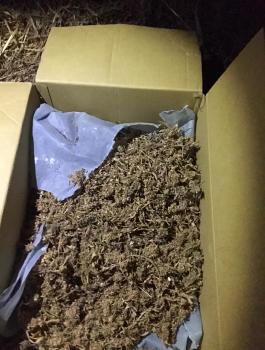 ضبط مخدرات في طولكرم 