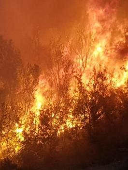 حرائق في مستوطنات غلاف غزة 