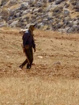 المستوطنون يسرقون ممتلكات المواطنين برام الله 