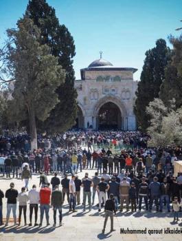 88395992_3735285426545870_779871992579883008_n