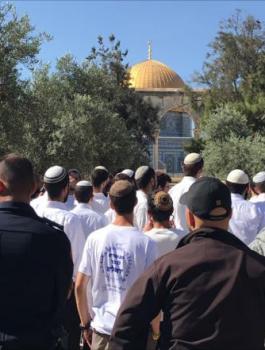 اقتحام المستوطنين للمسجد الأقصى المبارك 