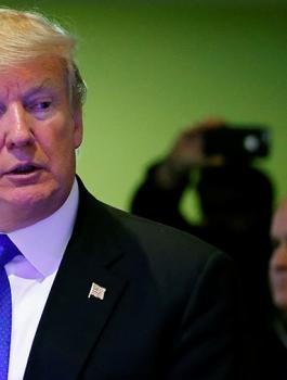 توطين الفلسطينيين في الدول العربية 