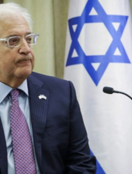 113-171720-david-freidman-release-plan_700x400