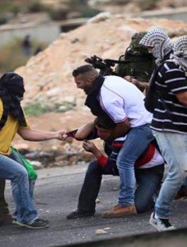 1562a45230221d_GENQHLMKJPIFO