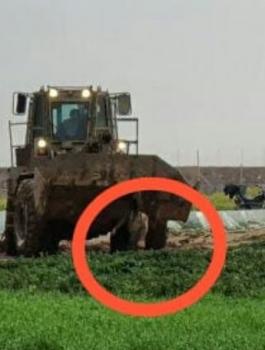 الجيش الاسرائيلي وحادثة الجرافة 