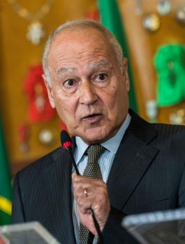 ابو الغيط والسلام بين الاسرائيلين والفلسطينيين 