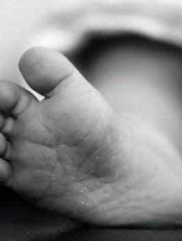 bebe-833345847-jpg-09411413457767596