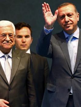 عباس اردوغان 