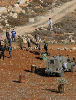 الاستيلاء على 120 دونم من ارضي جالود جنوب نابلس 