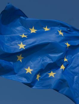 FlagCoE1