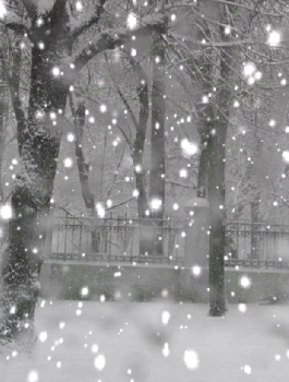 منخفض جوي قادم 