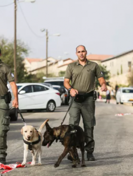 مقتل 3 جنود اسرائيليين بعملية اطلاق نار شمال غرب القدس 