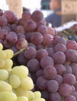 03091042470296301242782762107521