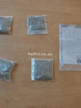 palpolice_06123112636239938253787570231385