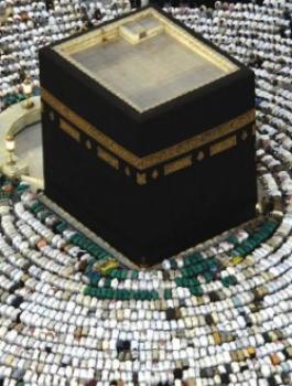 اعداد المعتمرين لهذا العام 