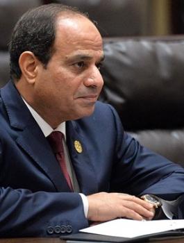 السيسي وحل القضية الفلسطينية 