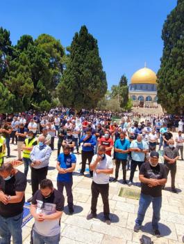 صلاة الجمعة في رحاب الأقصى 