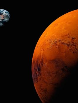 الامارات تقرر زرع التمر والخس والفراولة على سطح المريخ 