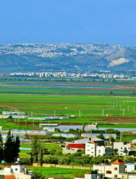 الزراعة في فلسطين 