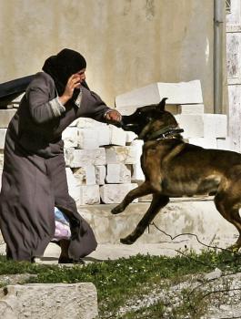 جيش الاحتلال يقتحم الكفير وجنين 