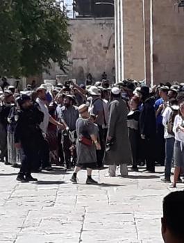 الخارجية والمسجد الاقصى 