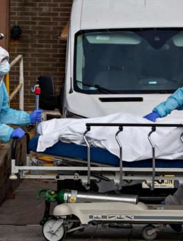 وفيات كورونا في اميركا 